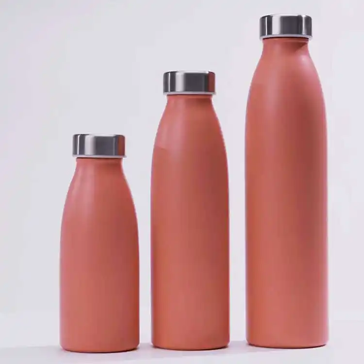 stainless steel water bottle for travel camping